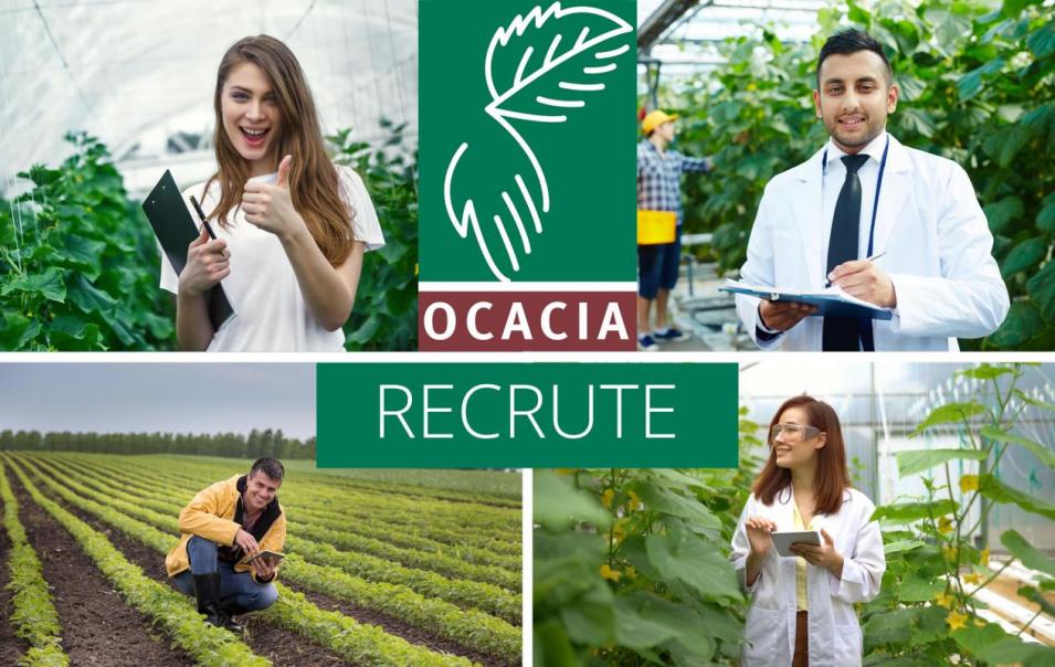 Ocacia cherche un(e) auditeur(trice) en agriculture F/H en CDI pour la rgion Sud Est