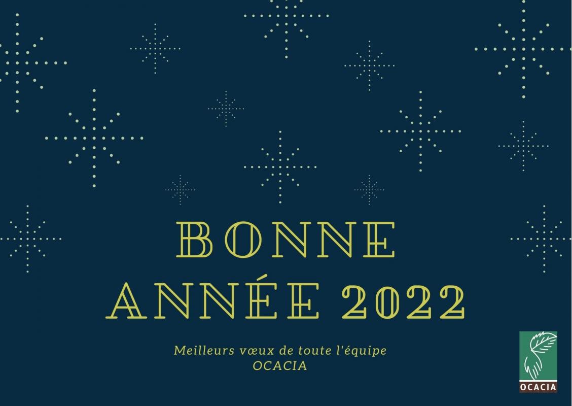 Toute l'équipe d'Ocacia vous souhaite une bonne année 2022 !