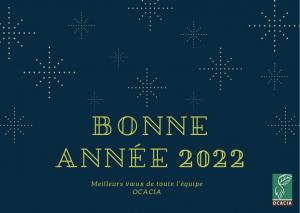 Toute l'équipe d'Ocacia vous souhaite une bonne année 2022 !