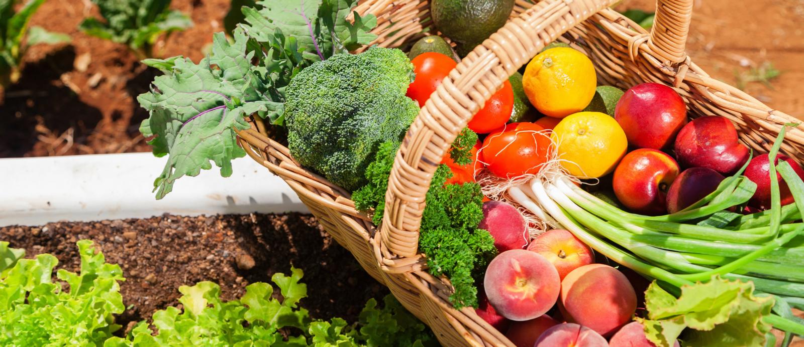 La dmarche de certification en Agriculture Biologique